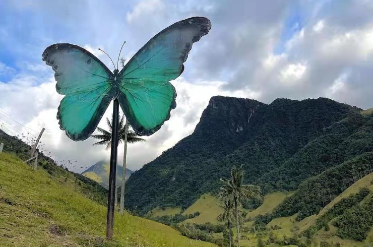 �����ĳ��